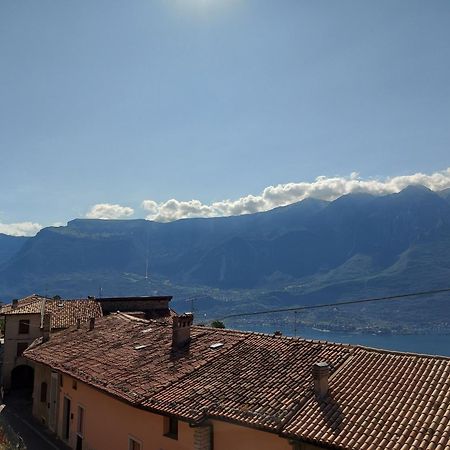 Ulivi Sul Garda Garden By Gardadomusmea Leilighet Tremosine Eksteriør bilde