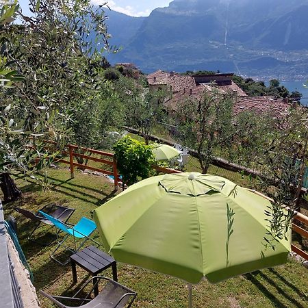 Ulivi Sul Garda Garden By Gardadomusmea Leilighet Tremosine Eksteriør bilde