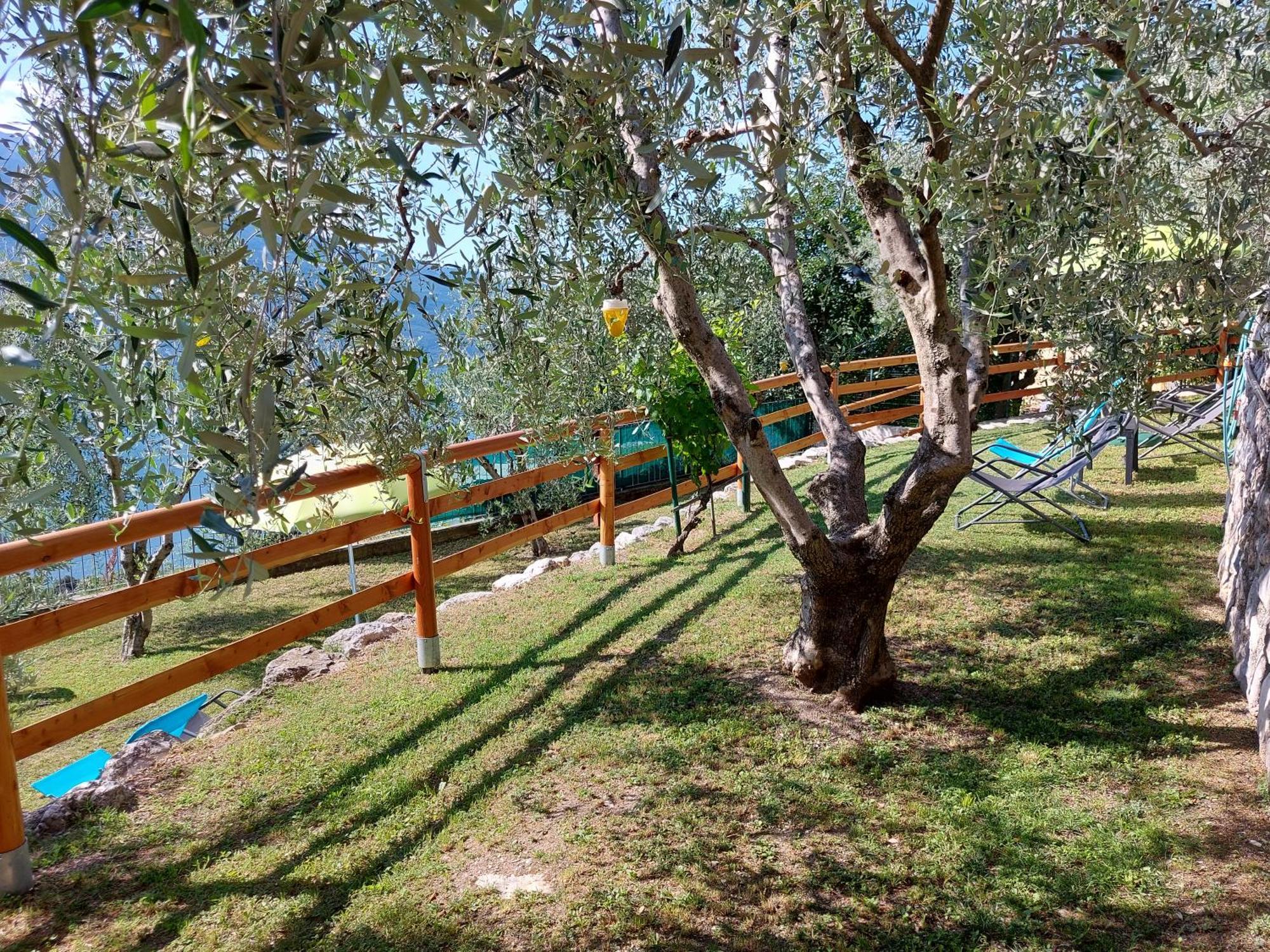 Ulivi Sul Garda Garden By Gardadomusmea Leilighet Tremosine Eksteriør bilde