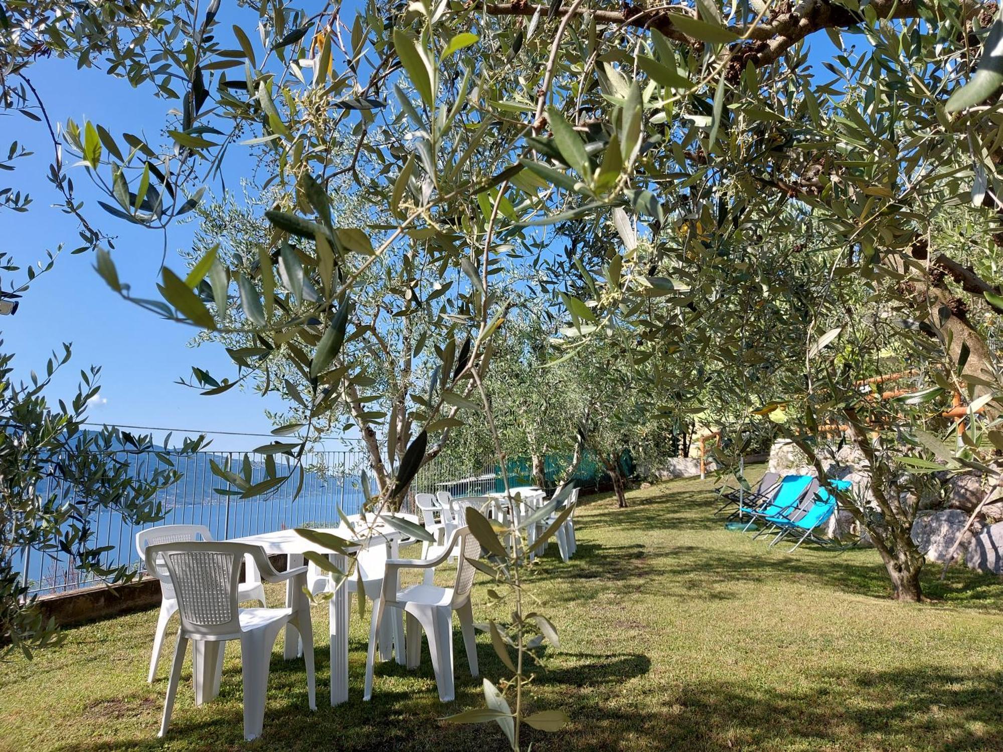Ulivi Sul Garda Garden By Gardadomusmea Leilighet Tremosine Eksteriør bilde