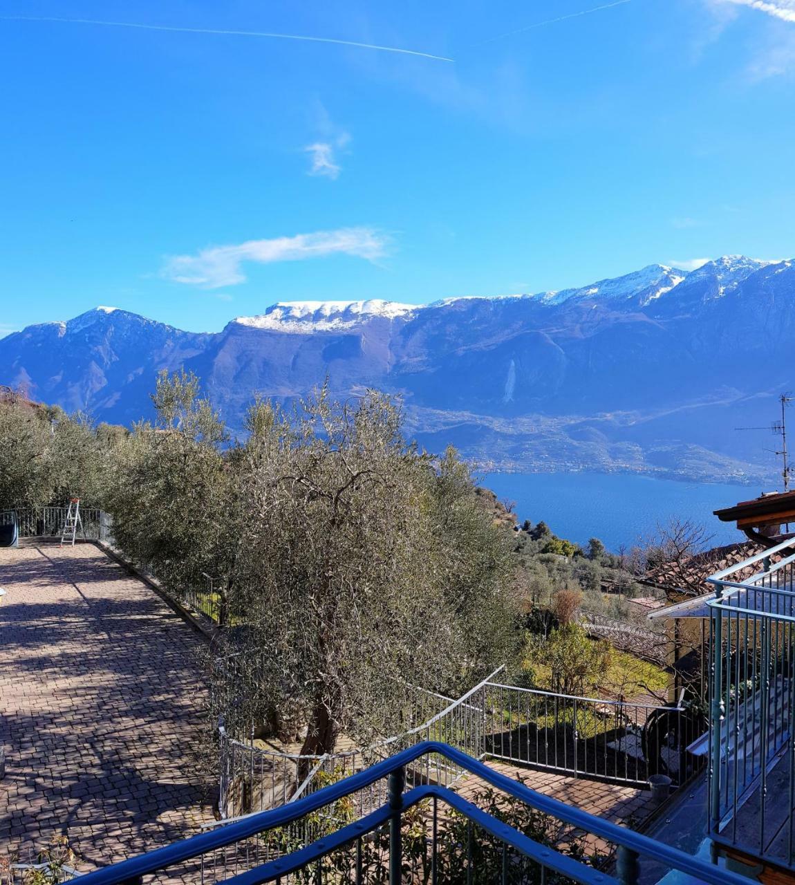 Ulivi Sul Garda Garden By Gardadomusmea Leilighet Tremosine Eksteriør bilde