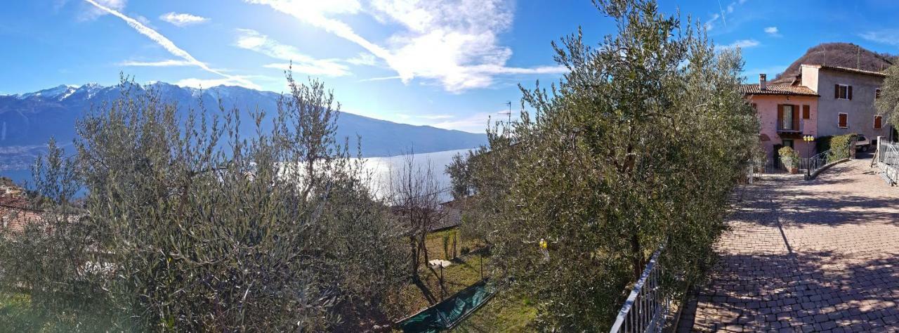 Ulivi Sul Garda Garden By Gardadomusmea Leilighet Tremosine Eksteriør bilde